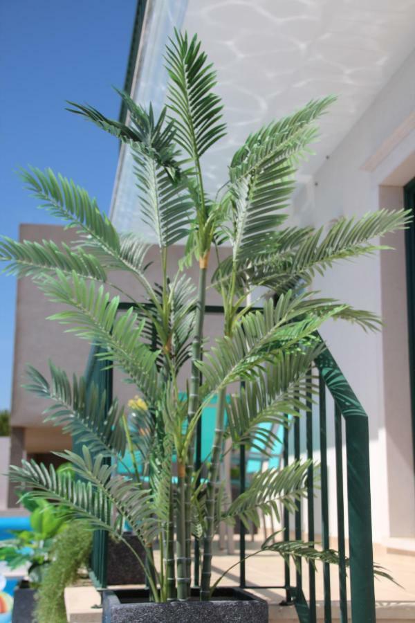 Olive View Villa Vila Nova da Barquinha Exterior photo